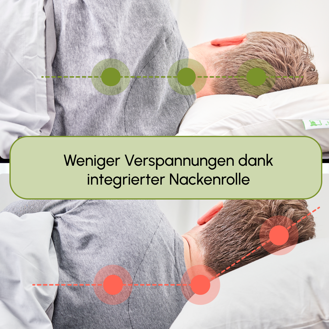 HOME Kopfkissen