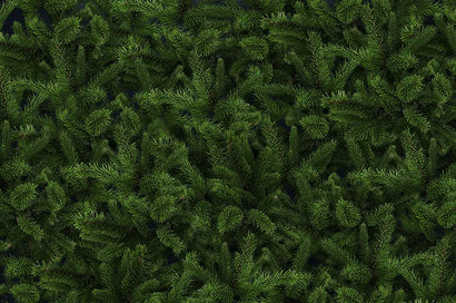 Mit der Kraft der Königin der Alpen