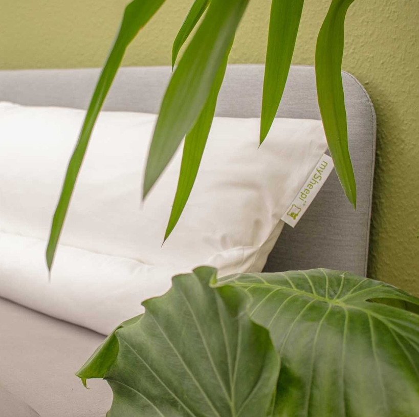 Nackenkissen in Bett mit Grünpflanzen